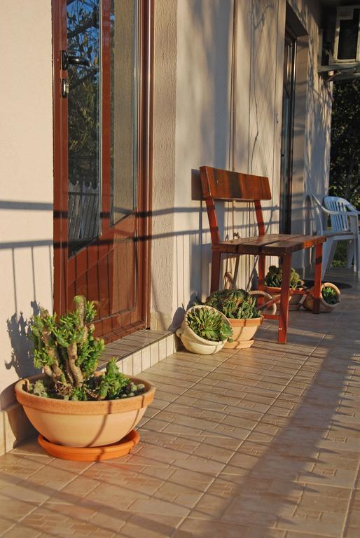 Apartments Iva Tivat Zimmer foto